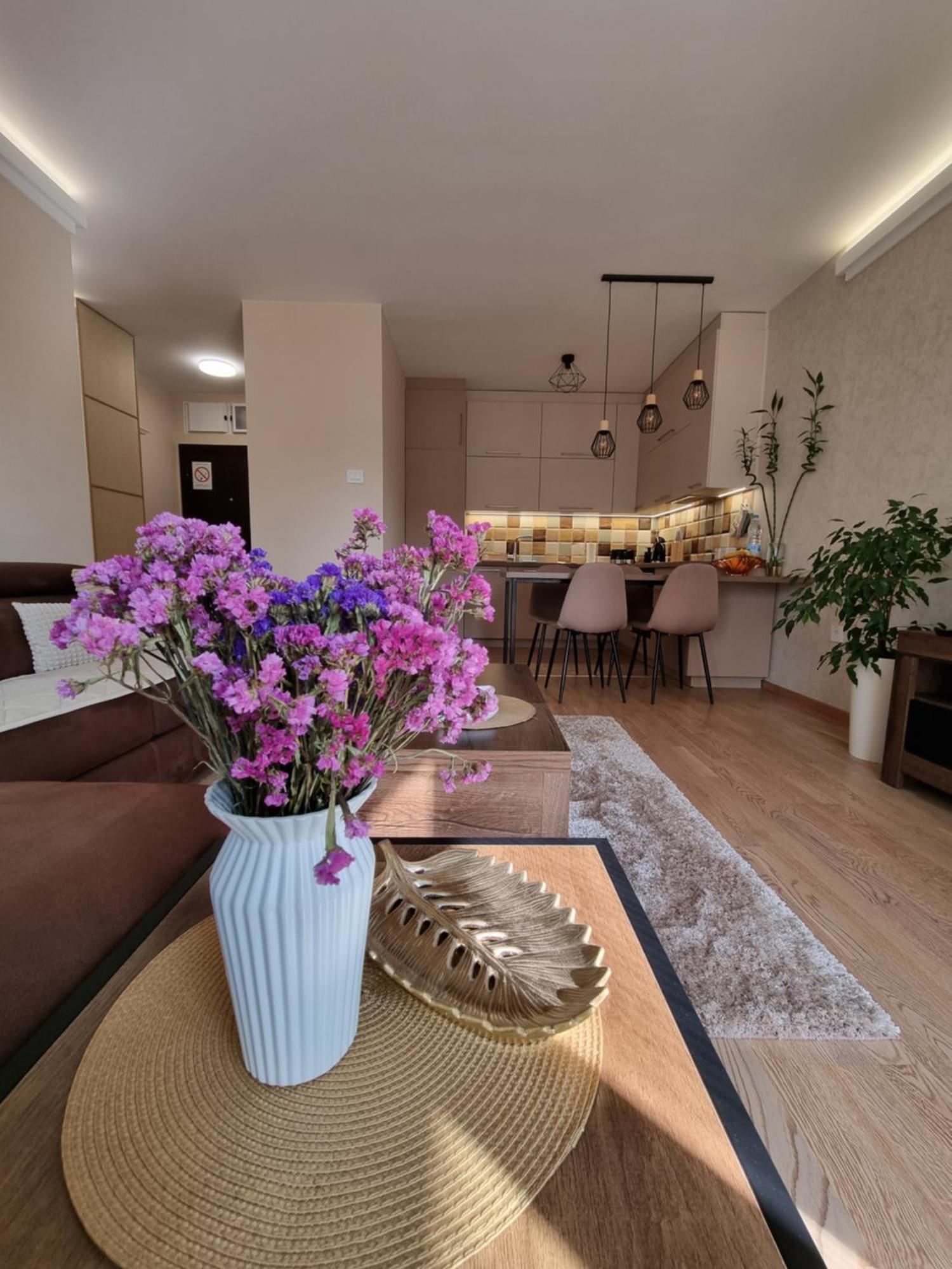 Stella Apartment Subotica Exterior photo